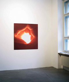 Ausstellung «Searchlight» 2007