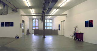 Ausstellung «Lange Tage leuchtend Sommerkraut», 2007